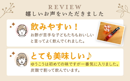【12回定期便】 酢らり 果実酢 6種セット（5種＋ポン酢）[CDN135]