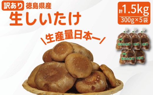 【菌床栽培】 訳あり しいたけ 生 1.5kg 300g×5袋 | きのこ キノコ 生しいたけ 生椎茸 生シイタケ 菌床しいたけ 菌床椎茸 菌床シイタケ 茸 siitake 徳島 小松島