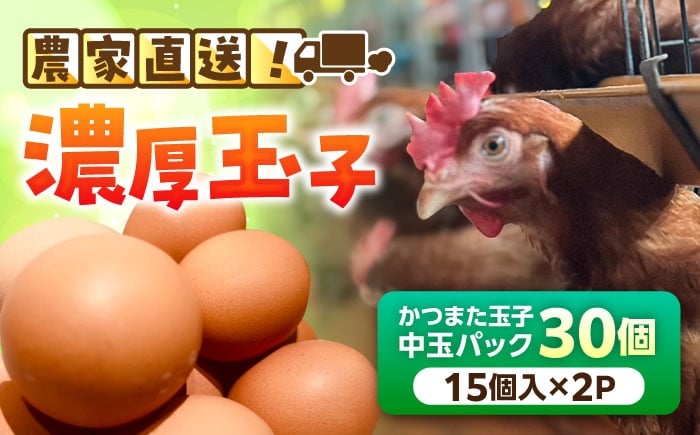 
            卵 玉子 かつまた玉子 中玉パック 30個 (25個+割れ保証5個) 瑞浪市 / かつまた玉子 卵 たまご タマゴ tamago 鶏卵 卵料理 卵かけごはん 卵焼き 玉子焼き オムレツ 人気 朝食 新鮮 家庭用 生卵 濃厚 採れたて 生みたて 産みたて ふるさと納税 [AZAQ001]
          