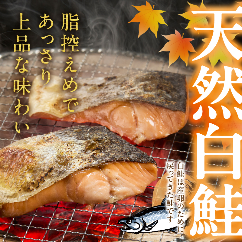 a20-487　厚切りカット！天然 白鮭 甘口 切身 約3kg