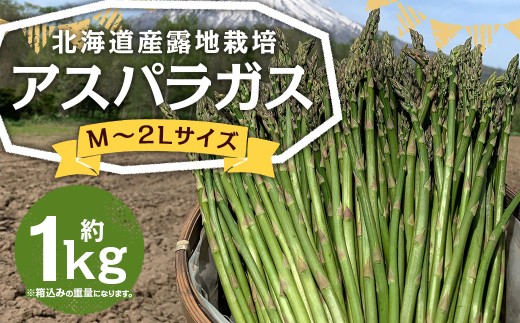 北海道産 露地栽培 アスパラガス M～2L 約1kg 【2027年5月下旬～6月上旬迄発送予定】 グリーンアスパラガス アスパラ 野菜 北海道 京極町 冷蔵
