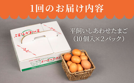 【12回定期便】 平飼い しあわせ たまご 40個＜松本養鶏場＞ [CCD031] 卵