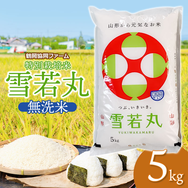 【令和7年産】 特別栽培米雪若丸　無洗米 5kg　(5kg×1袋)　山形県鶴岡産　鶴岡協同ファーム