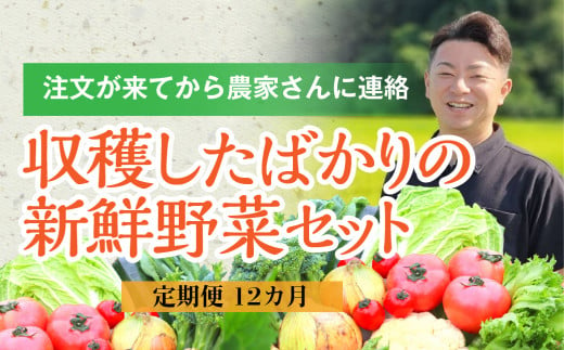 
【定期便/12か月】注文が来てから収穫発送！収穫したばかりの新鮮野菜セット お試しコース 《7～8品》季節のお野菜 おまかせ お楽しみ 獲れたて産地直送 旬 鍋 冬野菜 詰め合わせ 一関市
