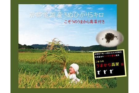 【新型コロナ被害支援】京都・亀岡産 きぬひかり 「こぞう米」 5kg ・うまから高菜付き《米 令和4年産 ご飯のお供 高菜 訳あり コロナ支援》※北海道・沖縄・離島への配送不可