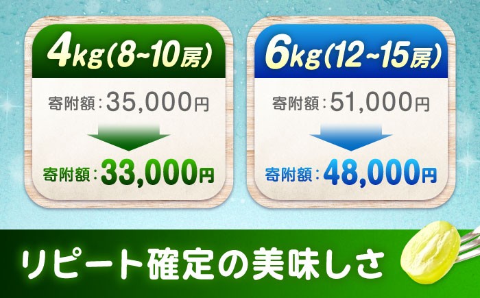わたしたちの情熱が、実りとなって輝く一粒に。