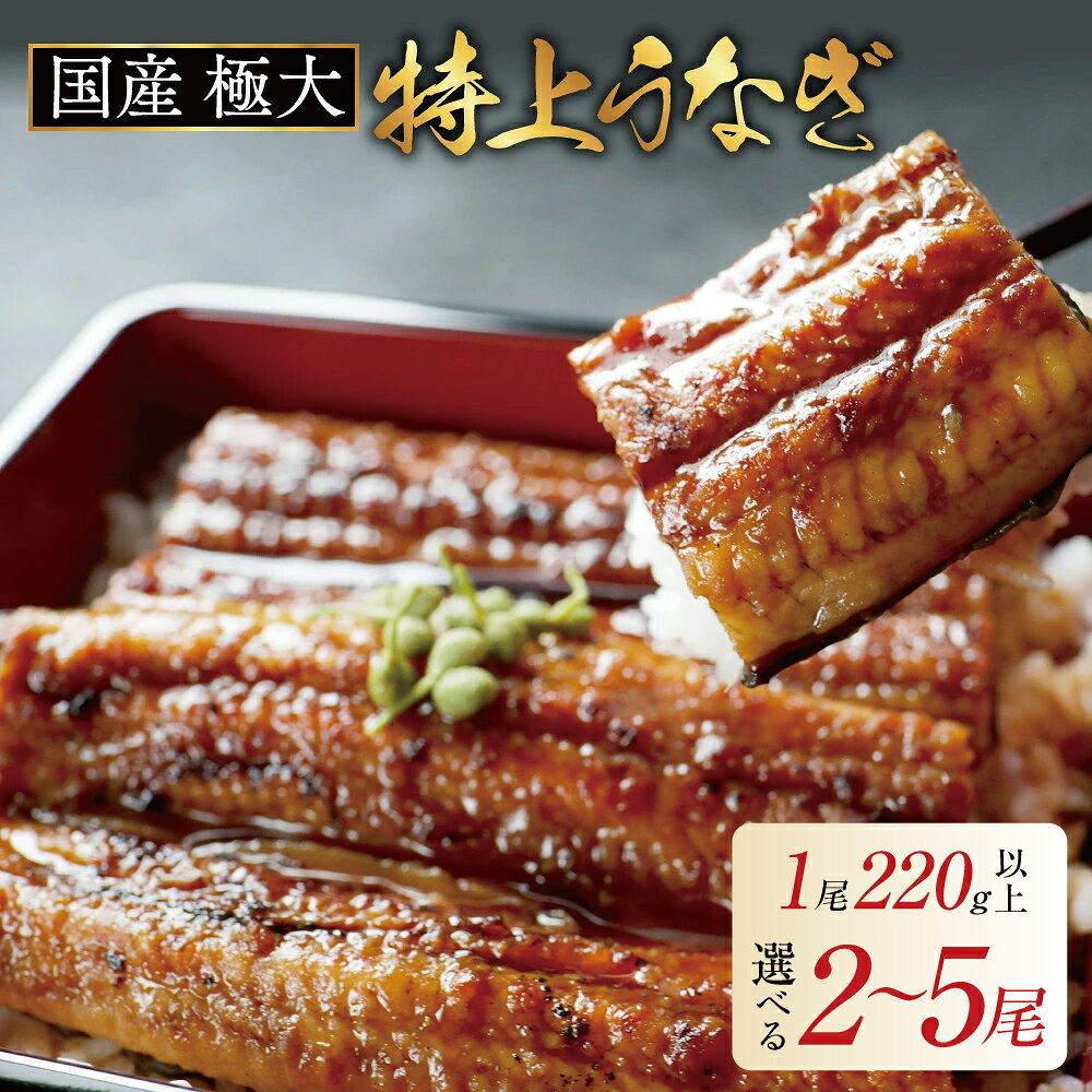 【ふるさと納税】国産 極大 特上うなぎ 2尾 ～ 5尾 【発送時期が選べる】（ ふるさと納税 うなぎ 国産 うなぎ 美味しい 鰻 ウナギ 蒲焼き 蒲焼 かばやき 魚 魚介 魚貝 海鮮 うな重 ひつまぶし 蒲焼 訳あり ギフト 人気 おすすめ 北海道 別海町 ふるさと納税 お歳暮 ）