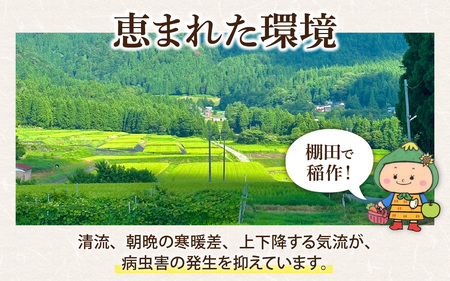 【3ヶ月定期便】【令和8年産 新米】【福井県大野市】さかだに棚田清流米！(コシヒカリ)10kg×3回　計30kg「今話題の、あのバンドのロケ地！」
