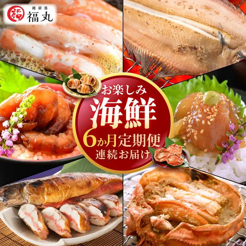 定期便 ≪6ヶ月連続お届け≫ お楽しみ 海鮮 セット【カニ ずわいがに えび 明太子 鯖 カレイ漬け丼 冷凍 小分け 】 [e15-g002]
