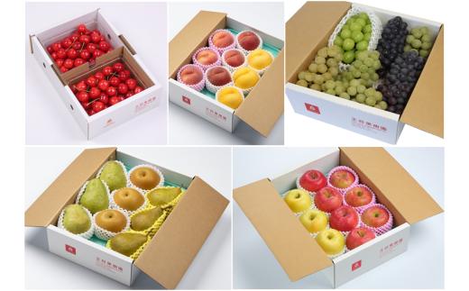 08-03-042　いろんな品種を楽しめる いろどりフルーツプラン全5回