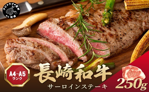 
                  【A4～A5】長崎和牛サーロインステーキ 250g(250g×1枚)( 肉 牛肉 牛 長崎和牛 国産牛 サーロイン ステーキ ステーキ肉 お取り寄せ プレゼント ギフト 送料無料 人気 美味しい 返礼品 おすすめ )【B0-243】
                