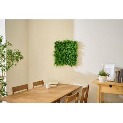 ふるさと納税 大河原町 DECO GREEN ウォールパネル アジアンタム 3個セット アイリスオーヤマ[53752995] |  | 03
