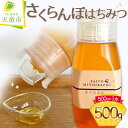 【ふるさと納税】 さくらんぼ はちみつ 500g蜂蜜 成分無添加 ギフト プレゼント ご当地 お取り寄せ 送料無料【 山形県 天童市 】