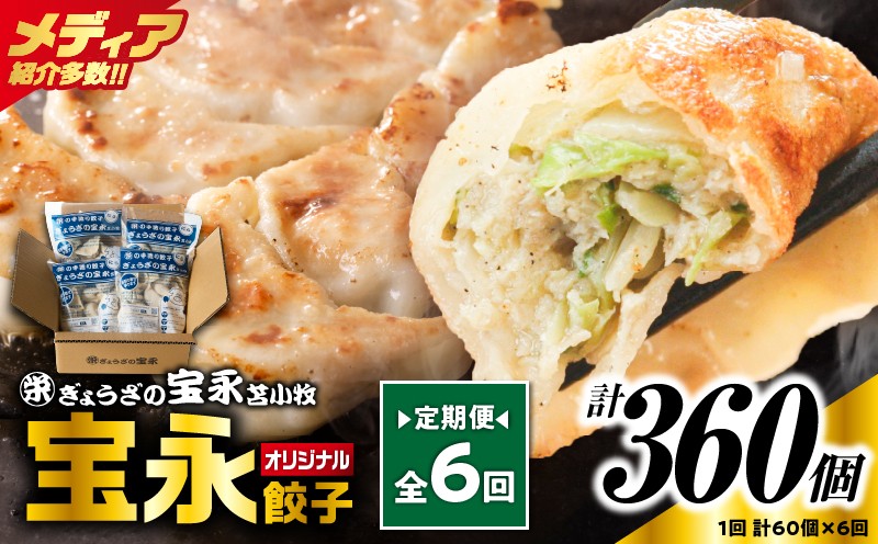 
            【全6回定期便（毎月）】ぎょうざの宝永 宝永餃子 15個入セット（宝永餃子15個入×4袋）合計1.5kg　T004-T01-04
          