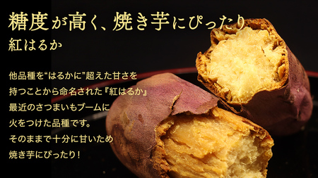 さつまいも 【 紅はるか ・ ほしあかね 】 5kg ( 箱込 )の 2箱セット