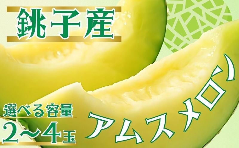 
            アムスメロン 銚子産 【選べる容量】2玉 ～4玉 弥兵衛 の アムスメロン メロン とろ甘 甘い 青肉 果物 フルーツ ギフト プレゼント 贈答 贈り物 お取り寄せ デザート スイーツ ケーキ ゼリー ジュース フルーツサンド  国産 ふるさと納税 ふるさと納税果物 ふるさと納税メロン 送料無料 千葉県 銚子市 弥兵衛 【6月下旬〜7月中旬発送】			
          