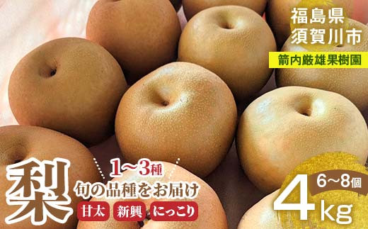 
                  梨 甘太 新興 にっこり 1～3種入り 4kg 6～8個 ＜箭内厳雄果樹園＞ F7X-0224
                
