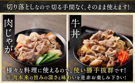 訳あり 佐賀牛 切り落とし 500g