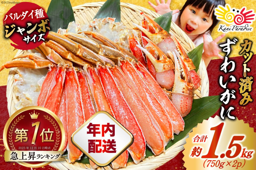 
            【年内配送 12/15まで受付】カット済 ずわいがに むき身セット 総重量1.5kg(750g×2p) かにしゃぶ かに鍋 正味重量1.2kg [カネダイ 宮城県 気仙沼市 20564319] かに カニ ずわいがに ずわい 蟹 棒 魚介 海鮮 ポーション レビューキャンペーン 感想
          