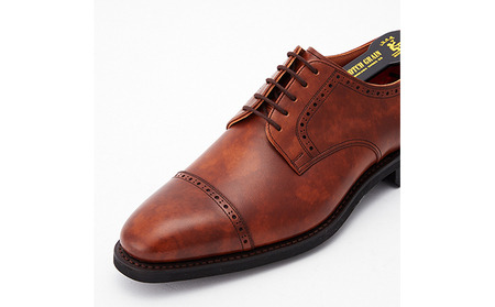 スコッチグレイン 紳士靴 「シャインオアレインIV」 NO.2773BR メンズ 靴 シューズ ビジネス ビジネスシューズ  ファッション 仕事用 パーティー フォーマル  24.0cm