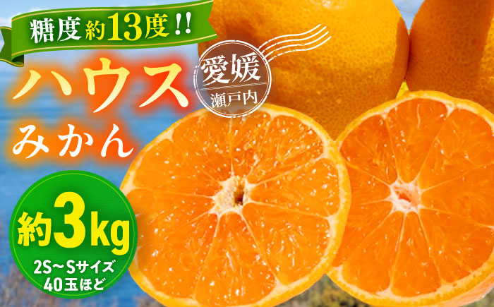 【先行予約】【夏限定】愛媛県産 峯田農園のあま〜い「ハウスみかん」3kg　愛媛県大洲市/峯田農園 [AGBT002]みかん オレンジ フルーツ ミカン 果物 かき氷 みかんジュース 愛媛みかん こたつ