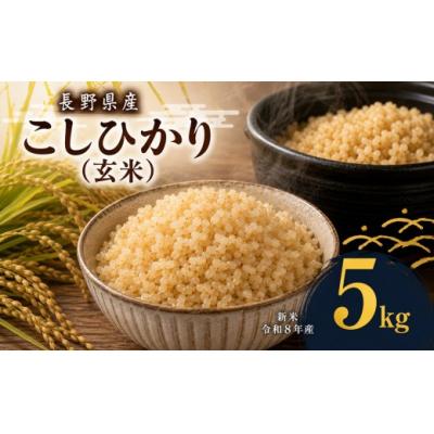 ふるさと納税 伊那市 令和8年産　伊那市産コシヒカリ玄米　5kg