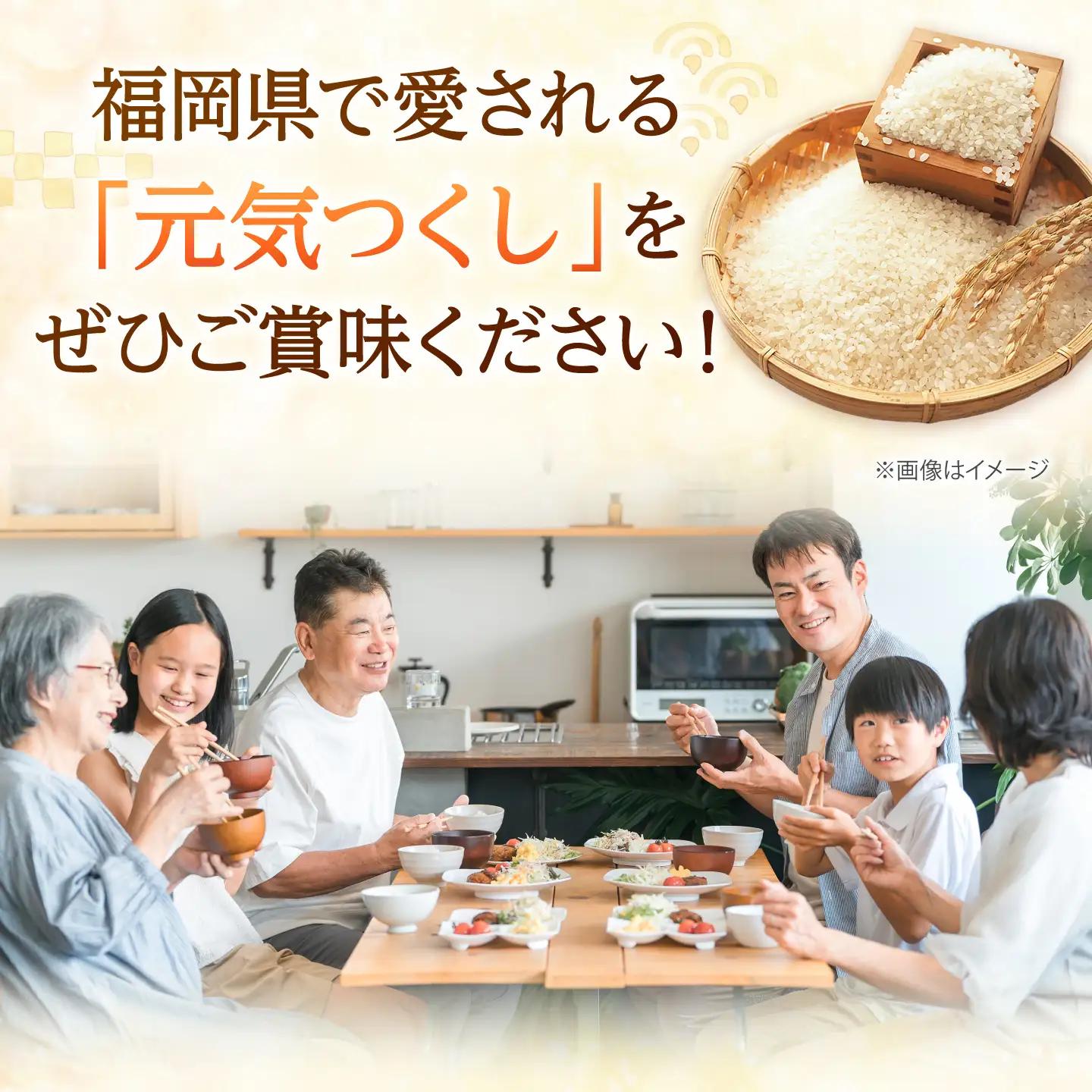 【先行予約】【令和7年産】元気つくし無洗米20kg(5kg×4袋)[BGAA095] 大容量 無洗米 元気つくし 大容量