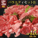 【ふるさと納税】定期便 3回 牛肉 雲仙育ち おがわ牛 バラエティーセットB 総計4.5kg(1.5kg×3回) [焼肉おがわ 長崎県 雲仙市 item1848] 黒毛和牛 カルビ 切り落とし 定期 冷凍