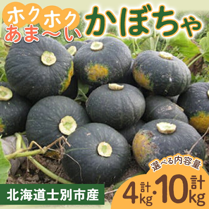【ふるさと納税】＜先行予約受付中！内容量が選べる＞北海道士別産 かぼちゃ(計4kg・計10kg)【9月下旬以降　準備ができ次第順次発送】北海道産 国産 カボチャ 南瓜 野菜 煮物 サラダ 天ぷら 甘い 味覚の秋 【吉方農園】
