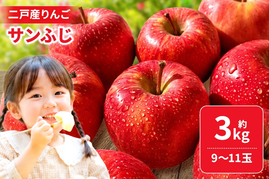 二戸産りんご サンふじ 約3kg （9～11玉）