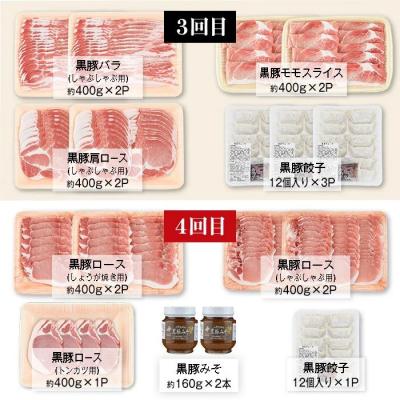 ふるさと納税 肝付町 <定期便・全6回(隔月)>極上セットF!　J02002 |  | 02