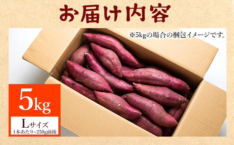 さつまいも(紅はるか) Lサイズ 5kg at-0062