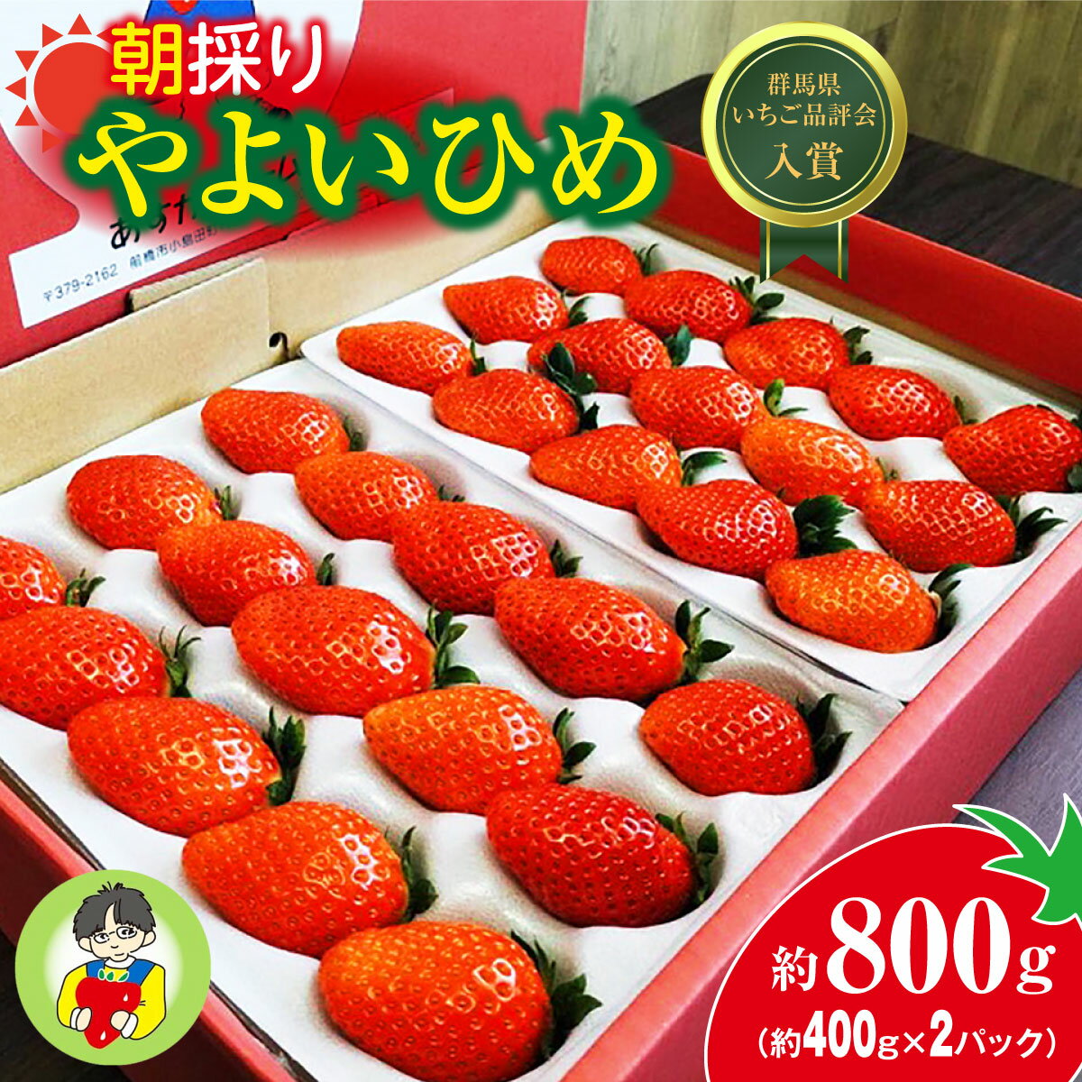 【ふるさと納税】＜2026年 先行予約＞やよいひめ400g × 2パック 800g｜コク 甘み 朝採れ やよいひめ 大粒 甘み 酸味 バランス 贈答用 新鮮 完熟 いちご 旬 苺 ストロベリー 産地直送 果汁 甘い あまい 人気 高評価 減農薬 美容 健康 旨味 高糖度 ごほうび 群馬県 前橋市