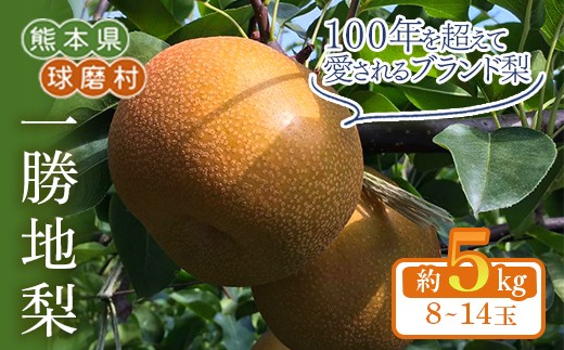 
                  FKP9-722 【先行予約】一勝地梨 約5kg
                