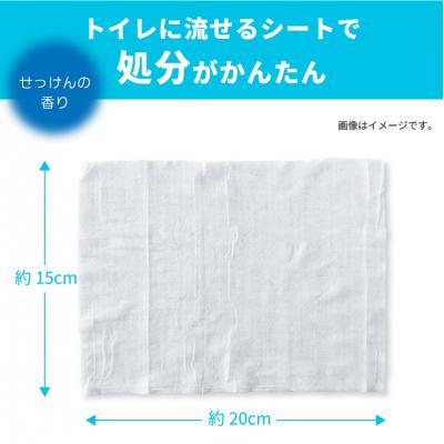 ふるさと納税 富士市 クリーンワン ペット用流せるウェットティッシュ70枚入2個パック×18袋 [sf002-239] |  | 01
