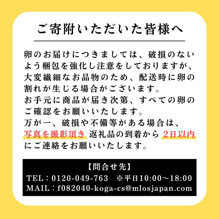 【定期便12か月】 江原ファーム　アローカナの青い卵（20個）｜卵 たまご タマゴ 生みたて 産みたて 新鮮 濃厚 健康 青い卵 産地直送_AG30