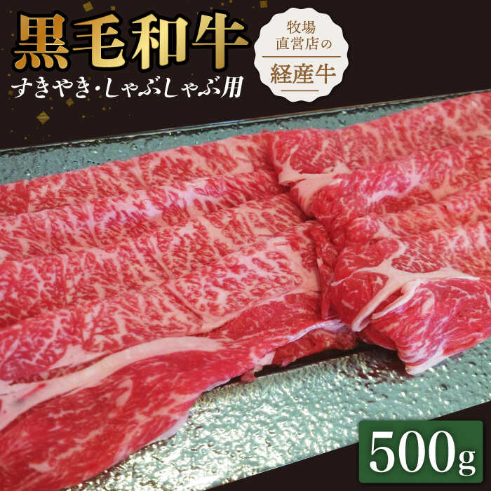 【ふるさと納税】【霜降り控えめ！】牧場直営店の黒毛和牛 スライス 500g （ロース）すきやき・しゃぶしゃぶ用【川崎畜産】和牛 国産牛 黒毛和牛 牛肉 肉 お肉 すき焼き すき焼 すきしゃぶ 切落し スライス 佐賀県 白石町 [IAX028]