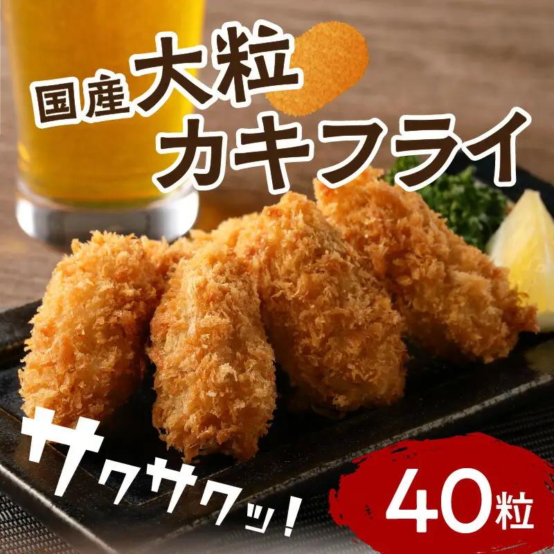 サクサクッ!国産大粒カキフライ40粒(約1kg) 牡蠣 牡蠣【001-0011】
