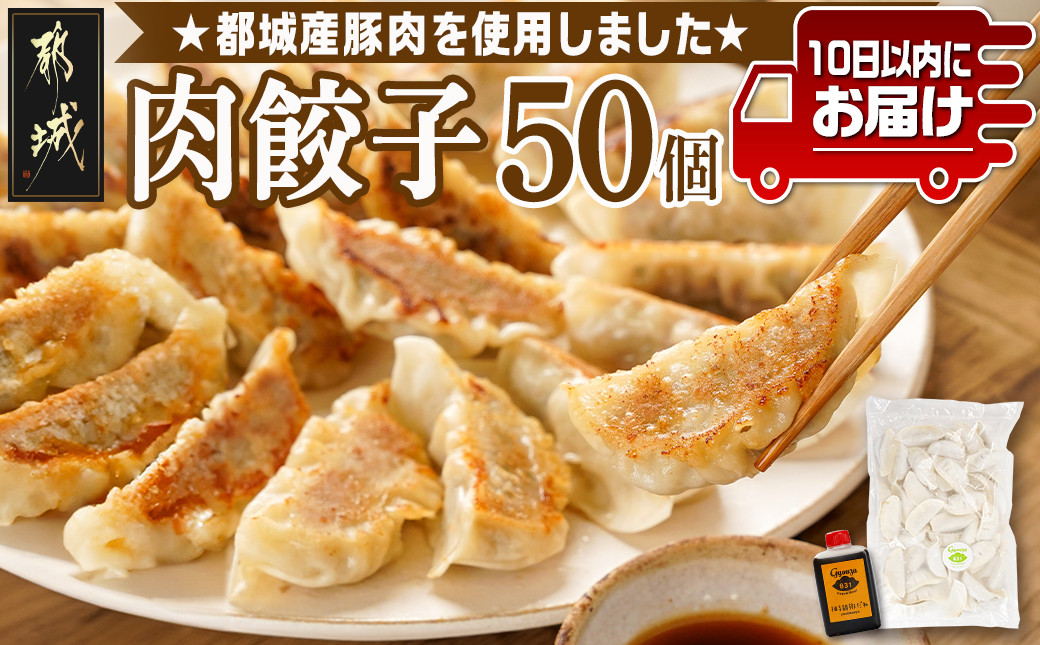 
            831ハチサンイチの肉餃子50個入り ≪みやこんじょ特急便≫_LF-K602-Q_(都城市) 肉餃子50個 都城産豚使用 柚子胡椒たれ付 大容量
          