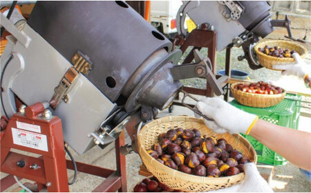 謙信甘栗の焼栗 3kg（250g×12）【氷蔵熟成栗謙信甘栗】新潟 上越 栗 くり