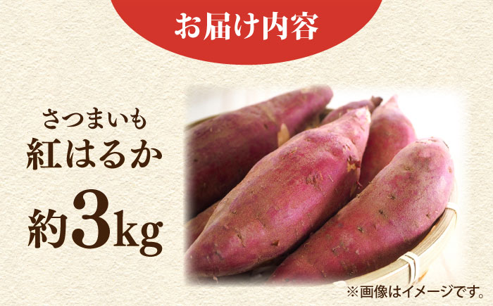 【先行予約】さつまいも 紅はるか 約3kg【鈴也ファーム】 [AKCE024]