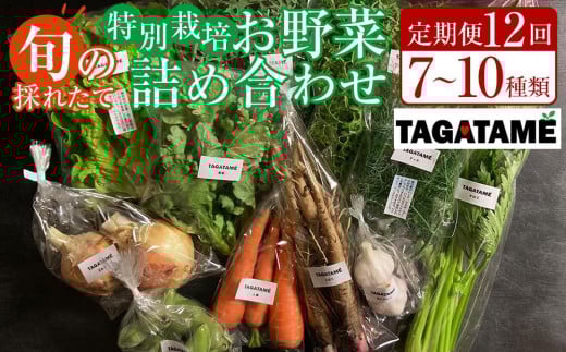 【定期便全12回】旬の採れたて 7～10種類お野菜詰め合わせセット(1～2名様) TAGATAME タガタメ【野菜 特別栽培  有機野菜 農薬不使用 旬 無農薬】