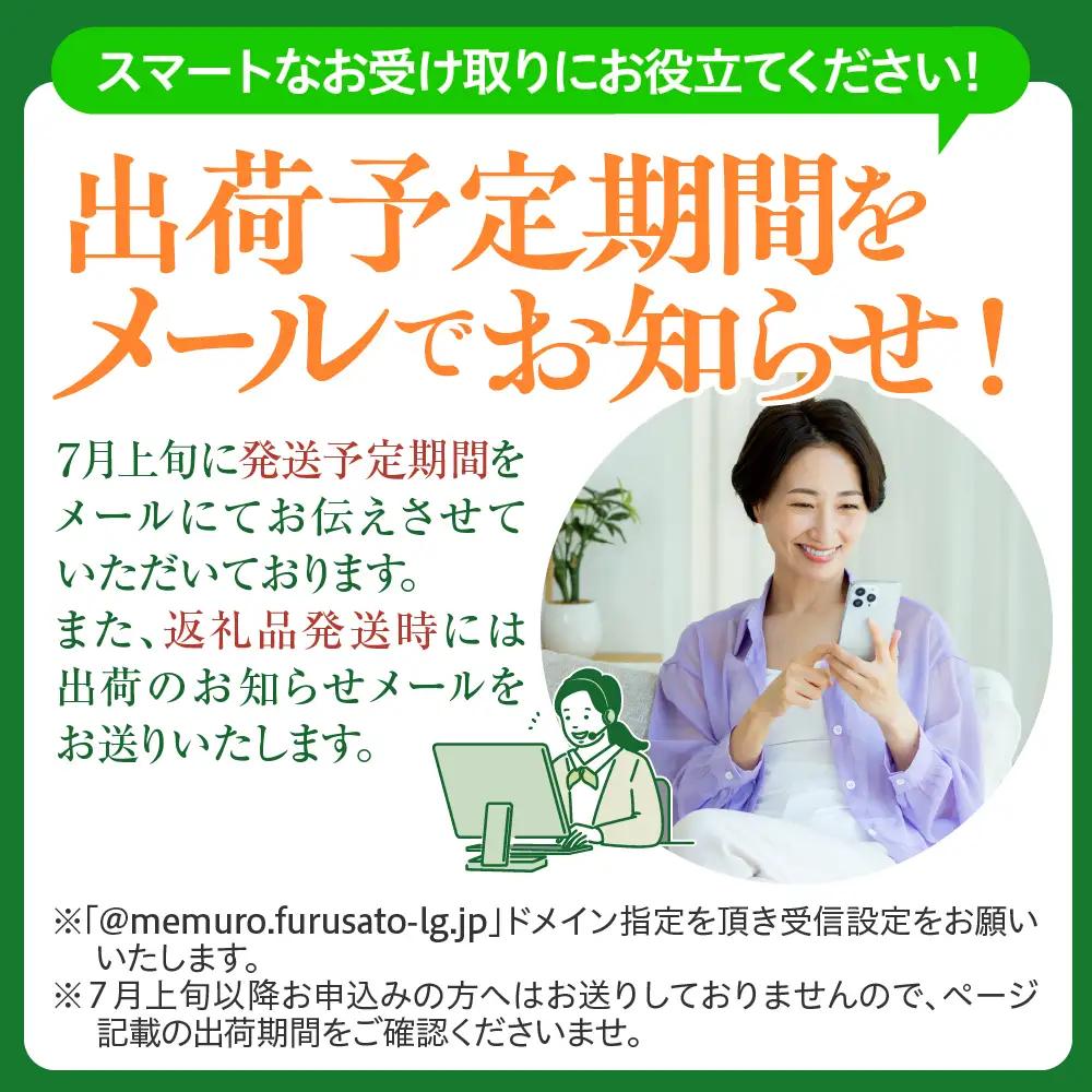 とうもろこし10本 イエロー 北海道 芽室 令和8年産 トウモロコシ