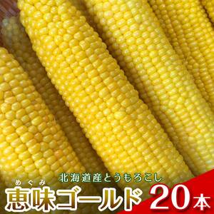 【2026年8月中旬発送開始】北海道産とうもろこし（恵味ゴールド20本）