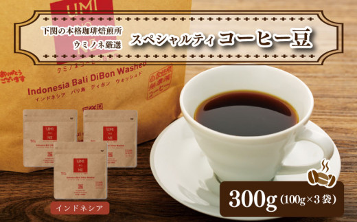 スペシャルティ コーヒー豆セット インドネシア 300g(100g×3袋)  下関市 山口