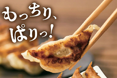 【全3回】ひぃ坊家の餃子定期便 015-08