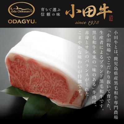 ふるさと納税 南さつま市 【プレミアムブランド】鹿児島県産黒毛和牛「小田牛」 牛肉100% 2種類のハンバーグステーキ 計6個 |  | 03