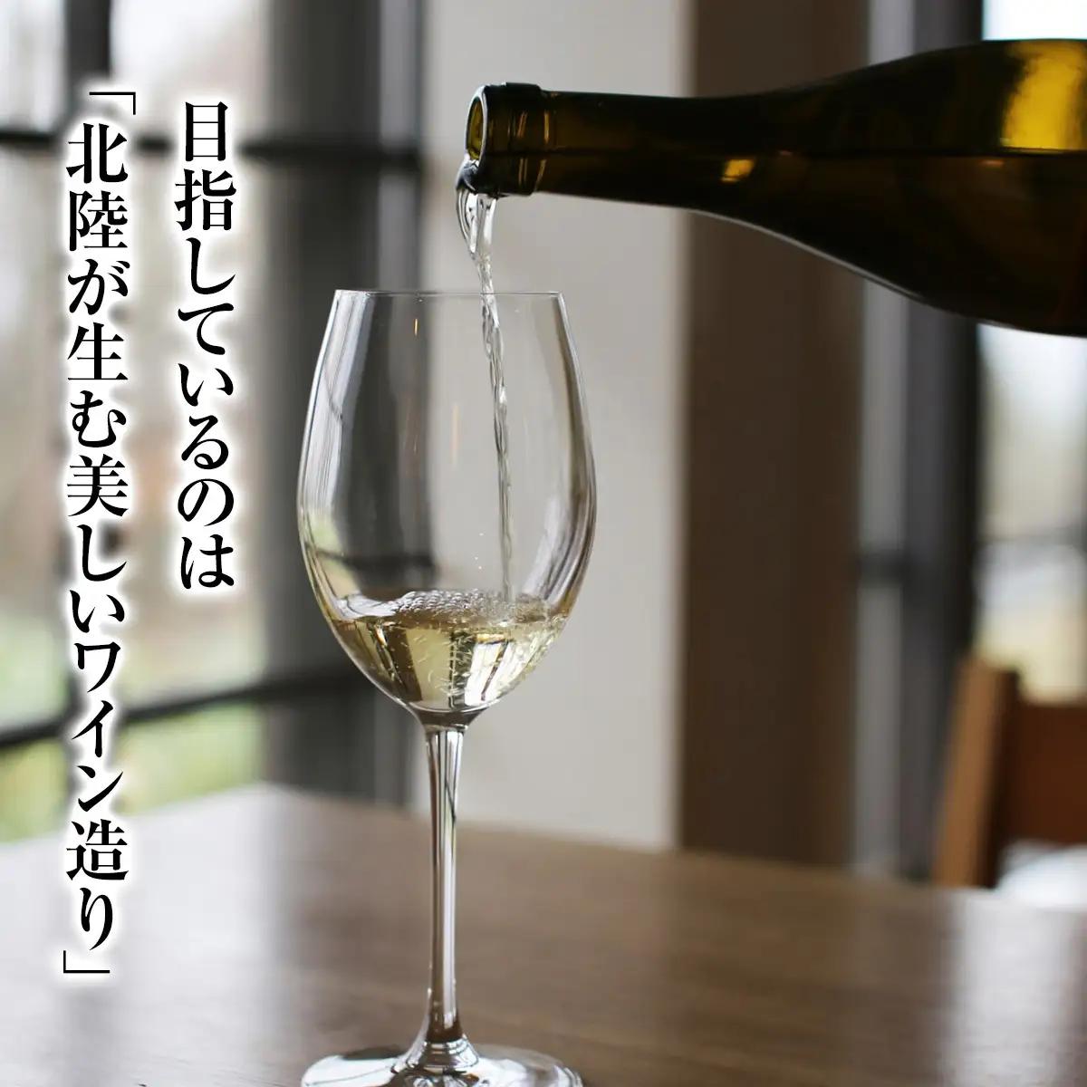 SAYSFARM ROSE2024 ワイン ロゼ | ロゼワイン 国産 葡萄酒 地ワイン 富山県 氷見市