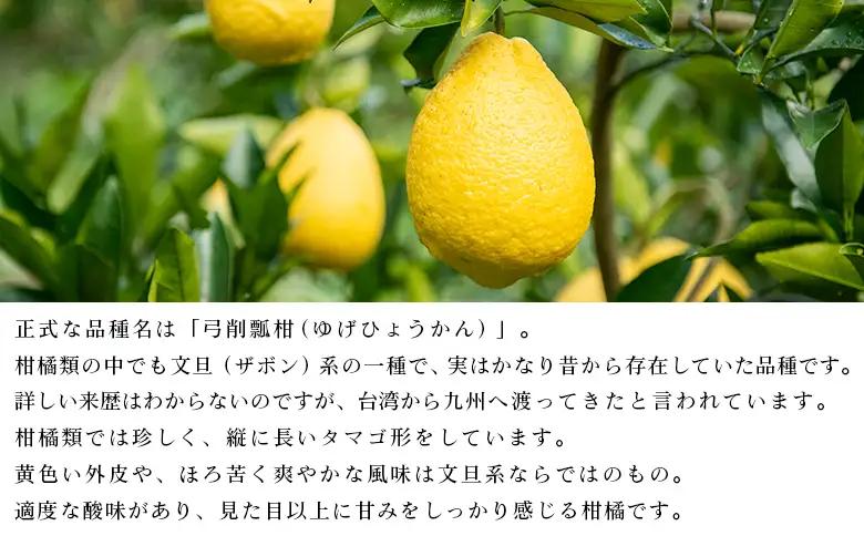 ＜無茶々園のひょう柑 約5kg＞ 【先行予約】果物 みかん ミカン 蜜柑 柑橘 フルーツ ひょうかん 弓削瓢柑 特産品 愛媛県 西予市【常温】『2027年4月～5月上旬迄に順次出荷予定』AMC0067