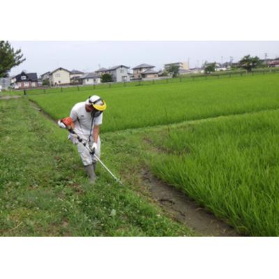 ふるさと納税 美里町 小牛田農林高校栽培米　精米　3kg |  | 02